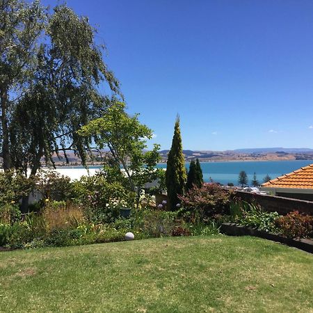 Jacaranda Lodge - Napier Hill Holiday Home Εξωτερικό φωτογραφία